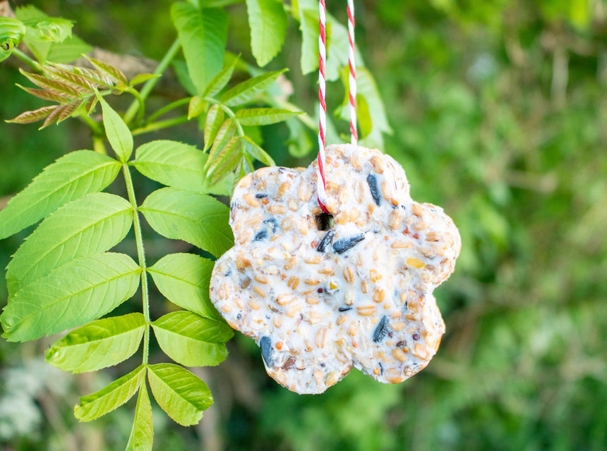 Let’s Make: Cookie Cutter Bird Feeders