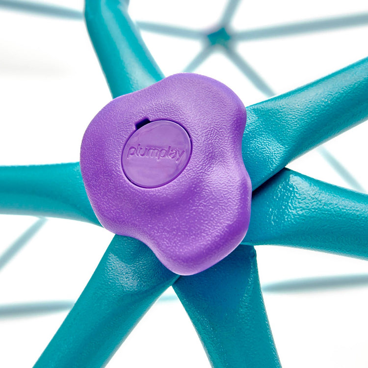 Phobos Metal Climbing Dome - Teal/Purple