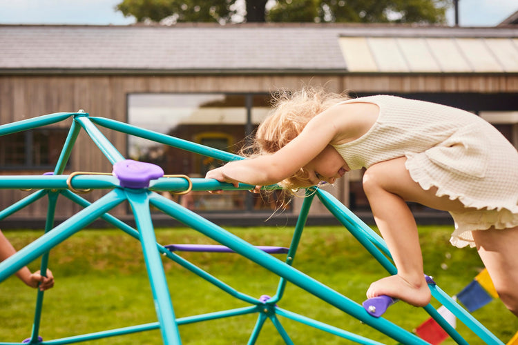 Phobos Metal Climbing Dome - Teal/Purple