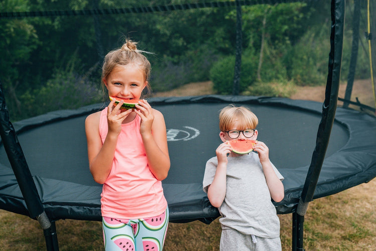 WEB Springless 10ft Trampoline and Enclosure