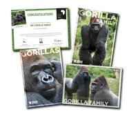 Born Free Adoption Pack - Gorilla