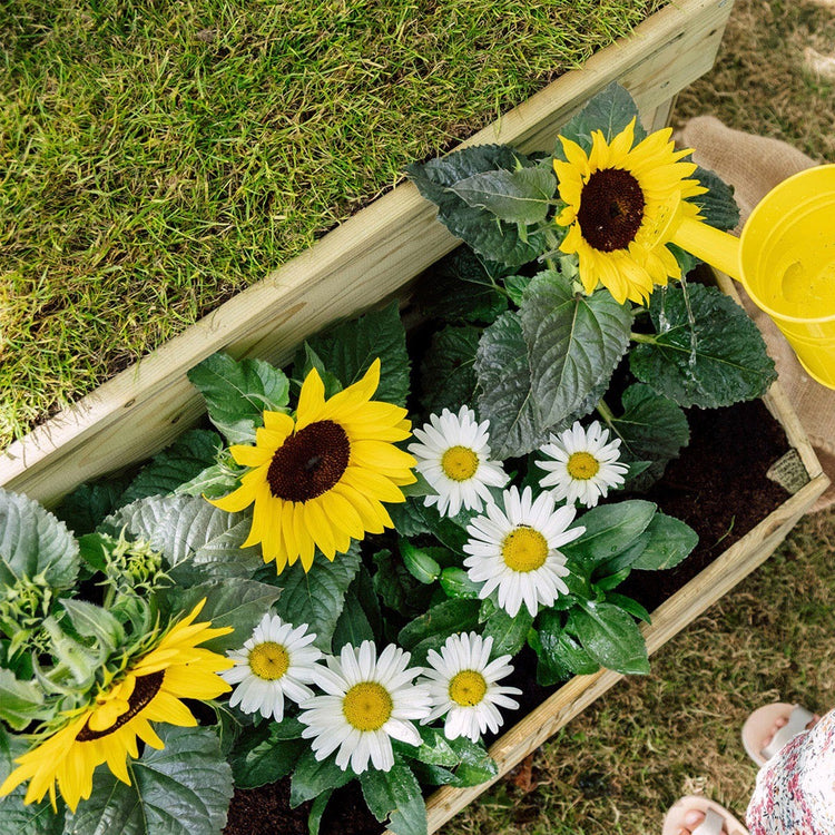 Discovery Nature Play Hideaway