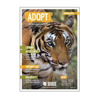 Born Free Adoption Pack - Orangutan