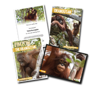 Born Free Adoption Pack - Orangutan